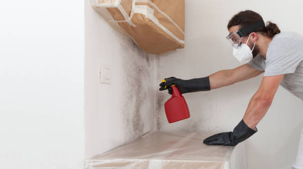 Professional Mold Remediation technician working in Castle Pines Village, CO