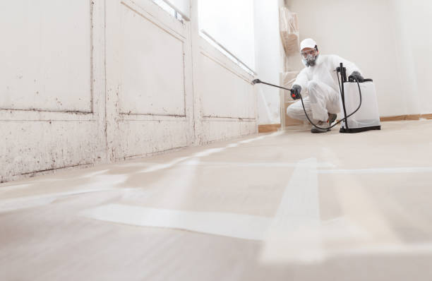 24/7 Emergency Mold Remediation experts in Castle Pines Village, CO